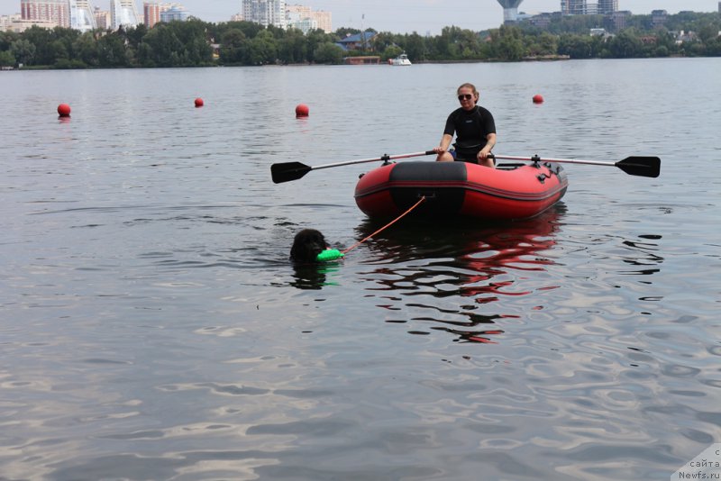 Фотография № 210674