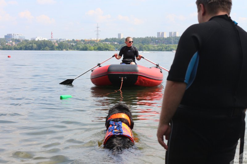 Фотография № 210681