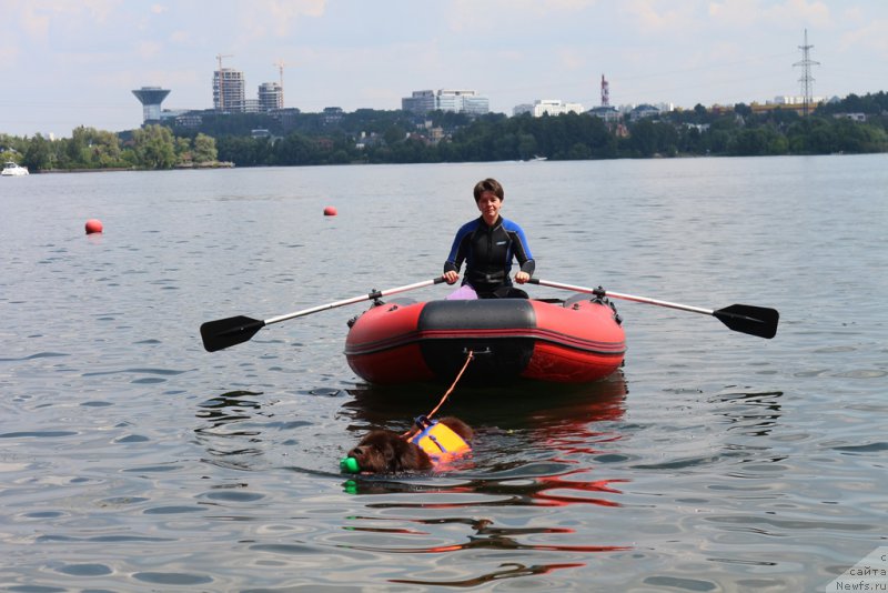 Фотография № 210684