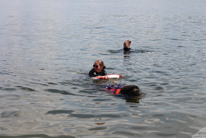 Фотография № 210687