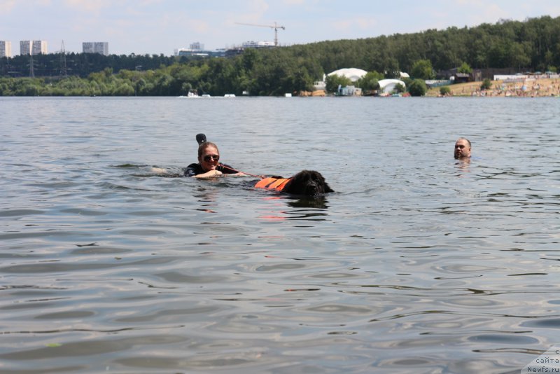 Фото: Tat'yana Rozanova (Татьяна Розанова)