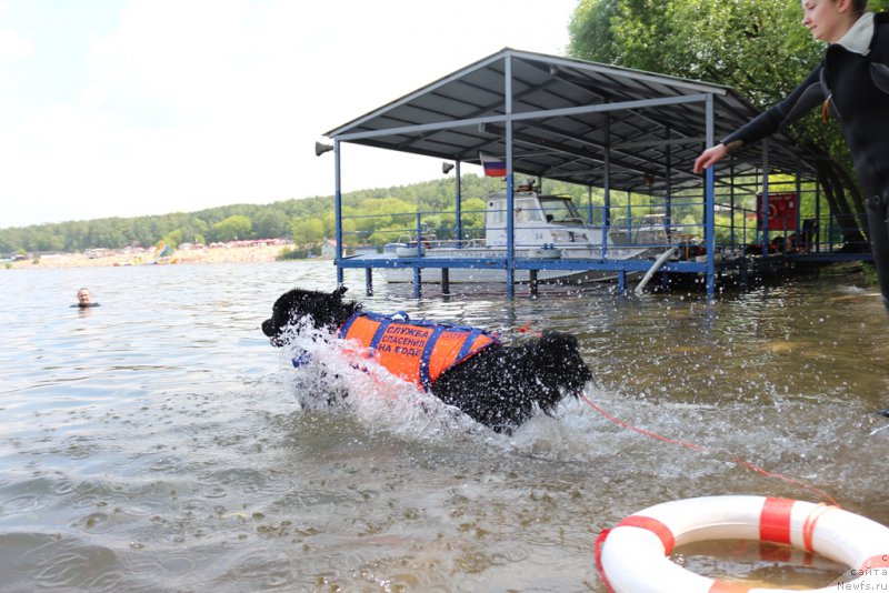 Фотография № 210696