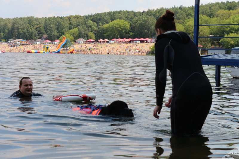 Фотография № 210697