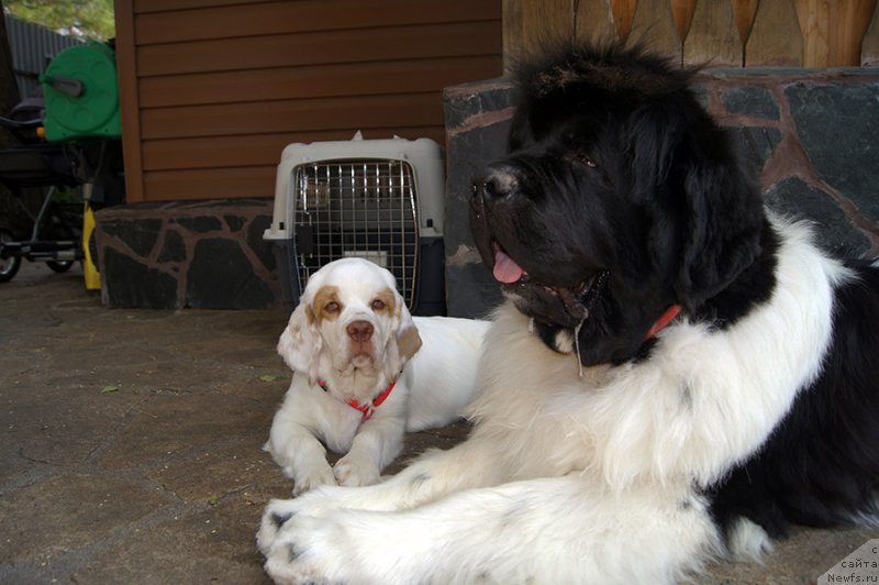 Фотография № 210706