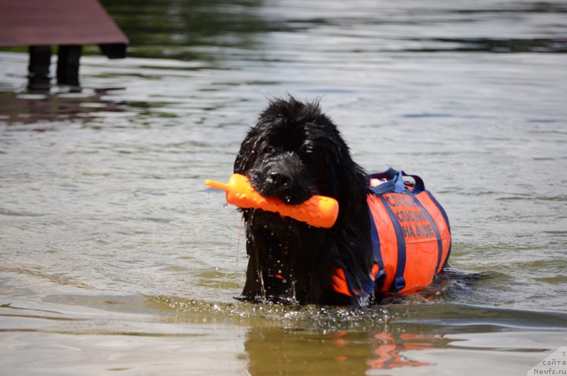 Фотография № 210715