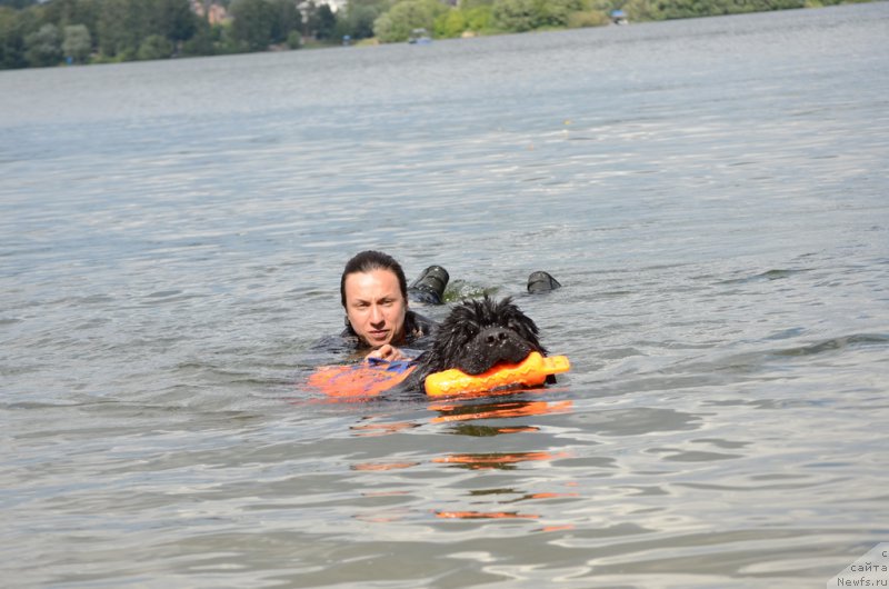 Фотография № 210722