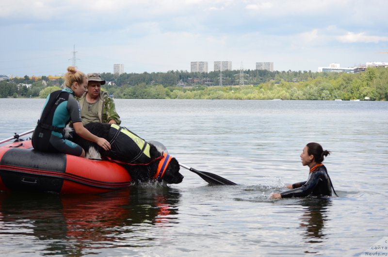 Фотография № 210723