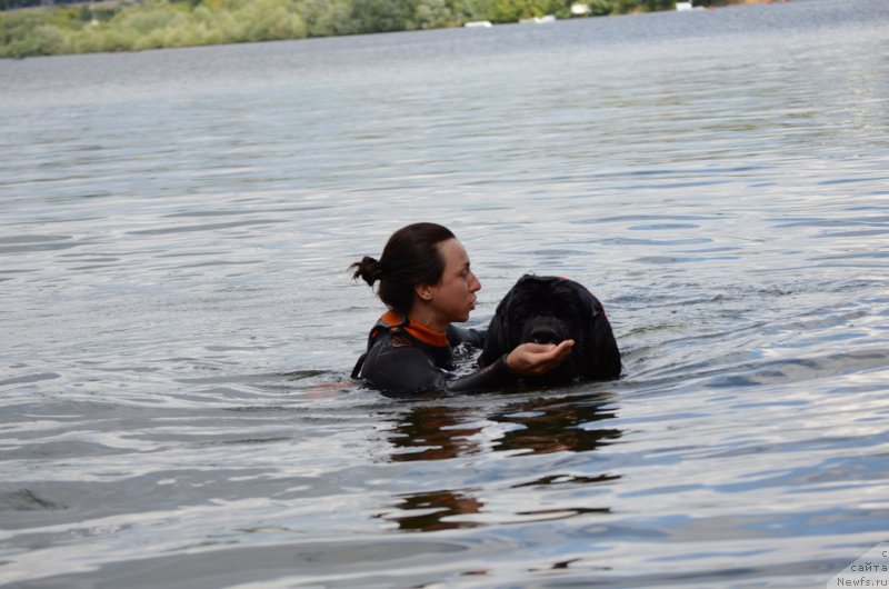 Фотография № 210724