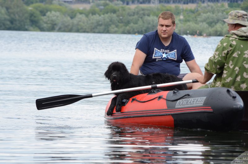 Фото: Anton Rogachev (Антон Рогачев)