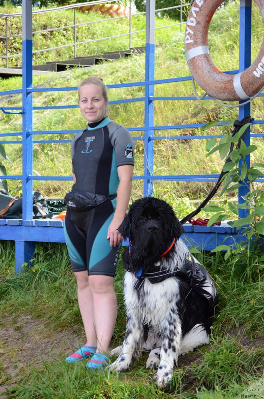 Фотография № 210727