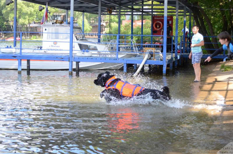 Фотография № 210729