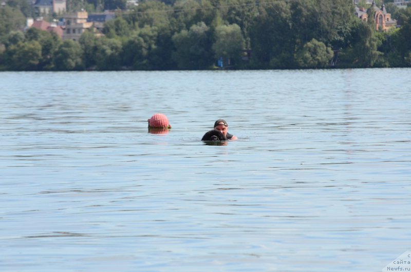 Фотография № 210731