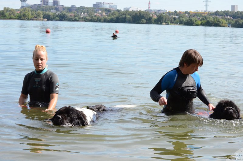 Фотография № 210733