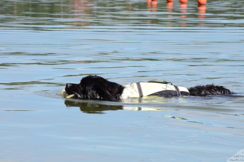 Фотография № 210737