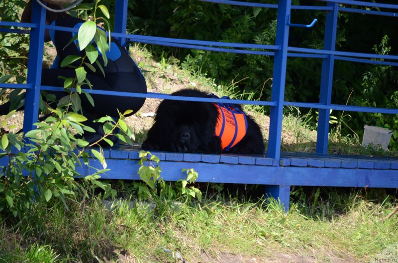 Фотография № 210739