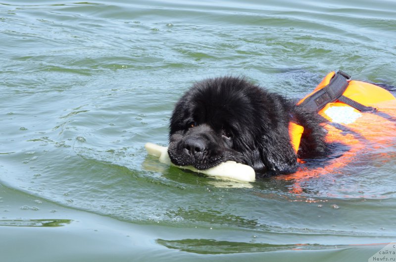 Фотография № 210740