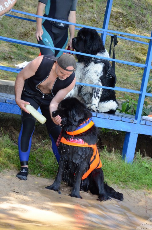 Фотография № 210741