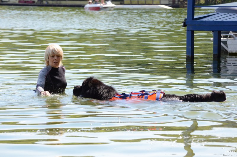 Фотография № 210746