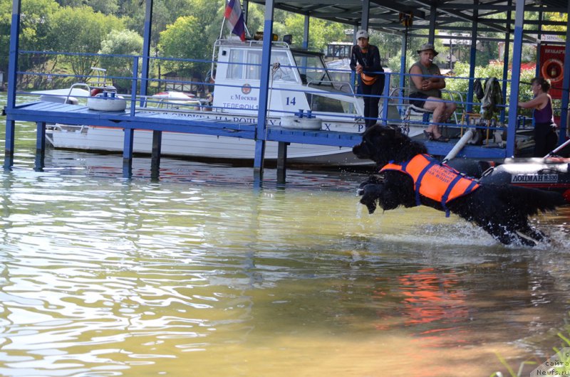 Фотография № 210747