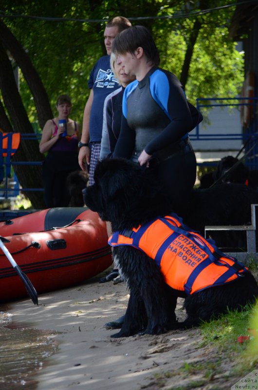 Фотография № 210749