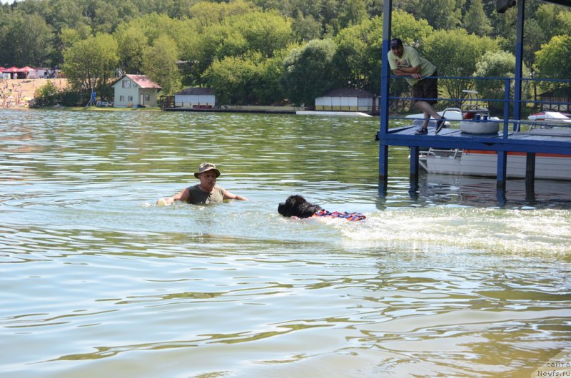 Фотография № 210752