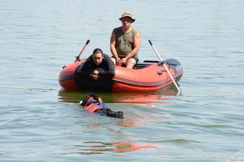 Фотография № 210758