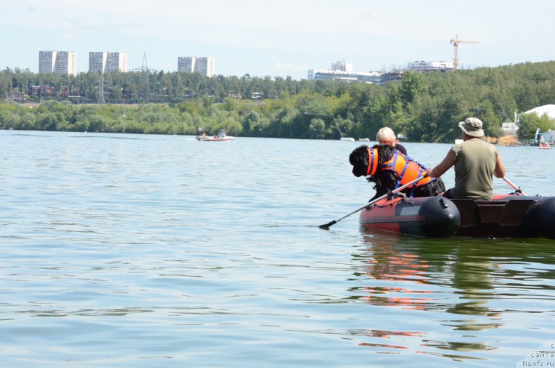 Фотография № 210761