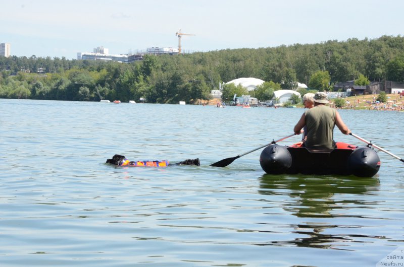 Фотография № 210762