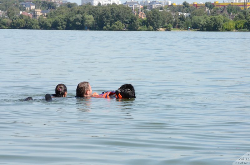 Фотография № 210763