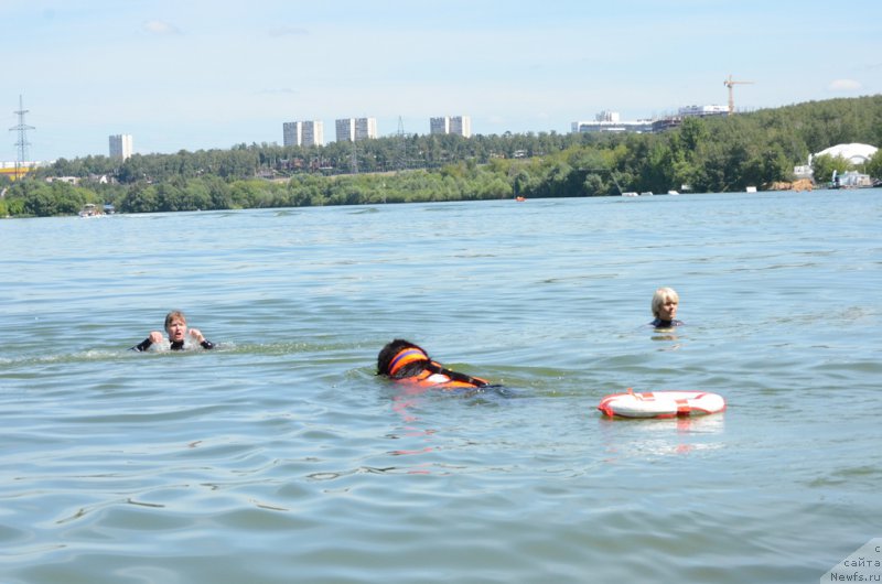 Фотография № 210764