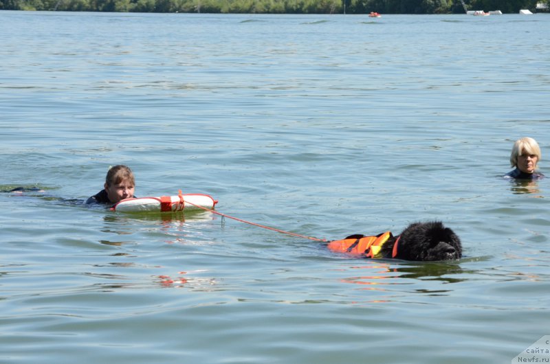 Фотография № 210765