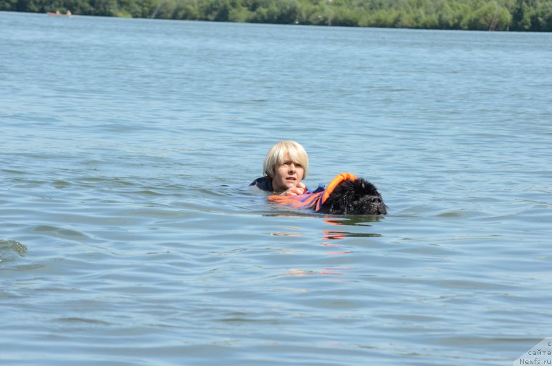 Фото: Larisa Kutina (Лариса Кутина), ньюфаундленд Belkonder-Club Ugli-Boogli (Белкондер-Клаб Угли-Бугли)