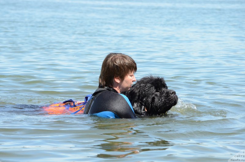 Фотография № 210771