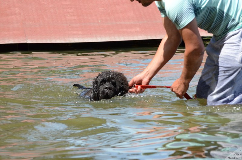 Фотография № 210772