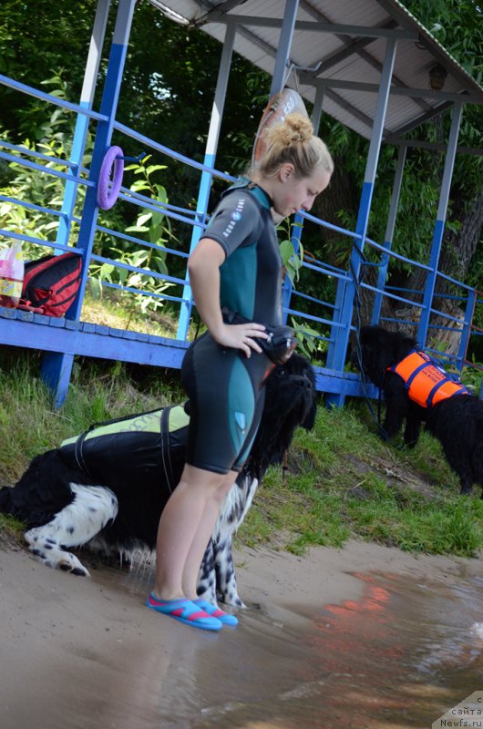 Фотография № 210773