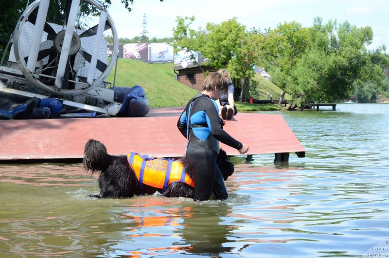 Фотография № 210774