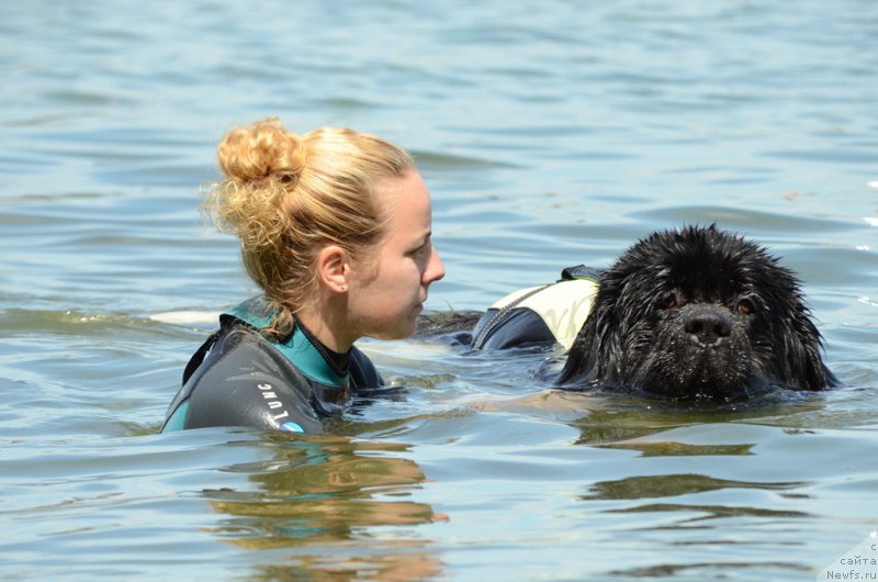 Фотография № 210776