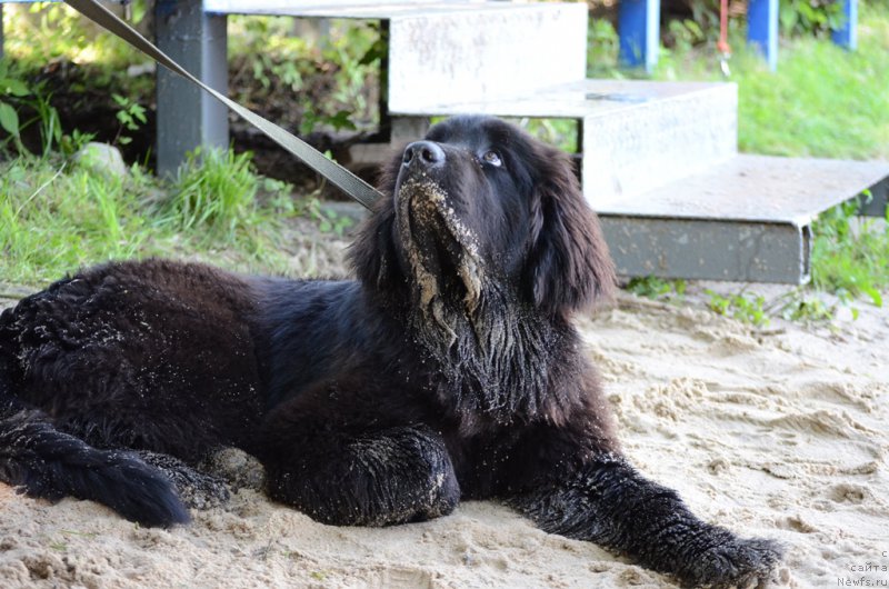 Фотография № 210779