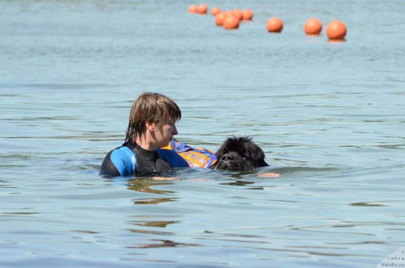 Фотография № 210780