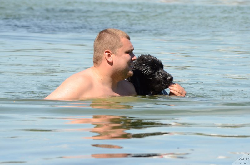 Фотография № 210781