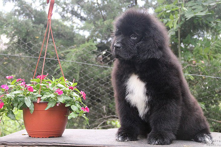 Фотография № 210786