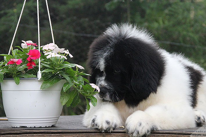 Фотография № 210794