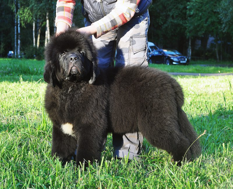 Фотография № 210823