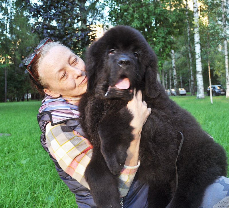 Фотография № 210824