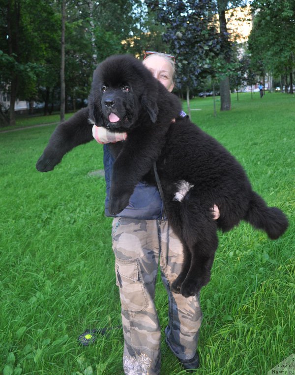 Фотография № 210826