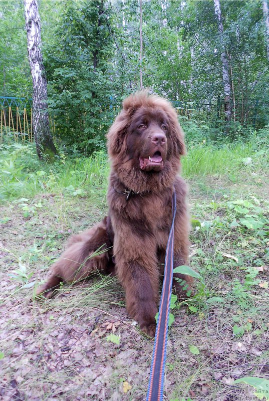 Фотография № 210869