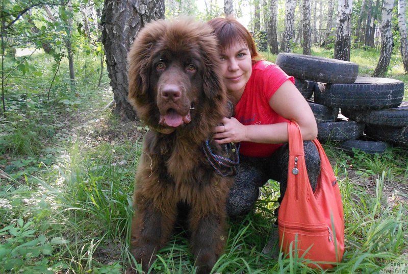 Фотография № 210870