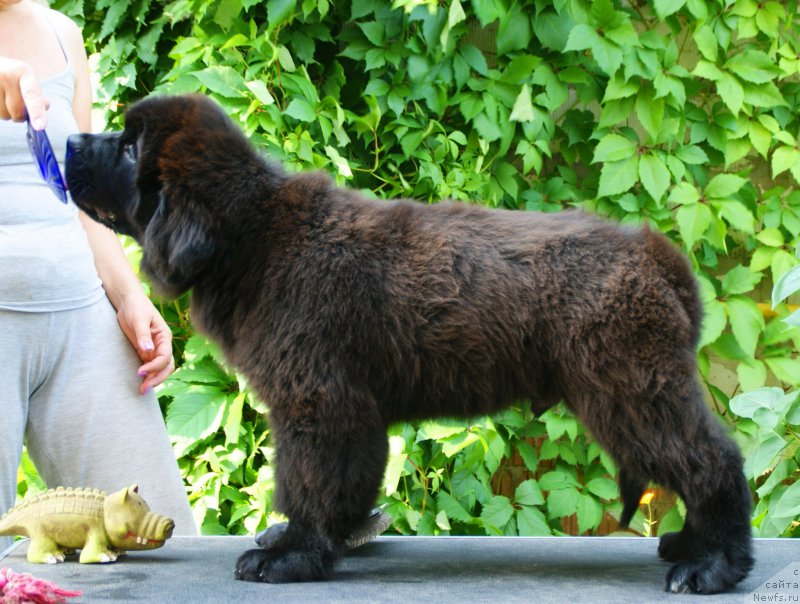 Фотография № 210876