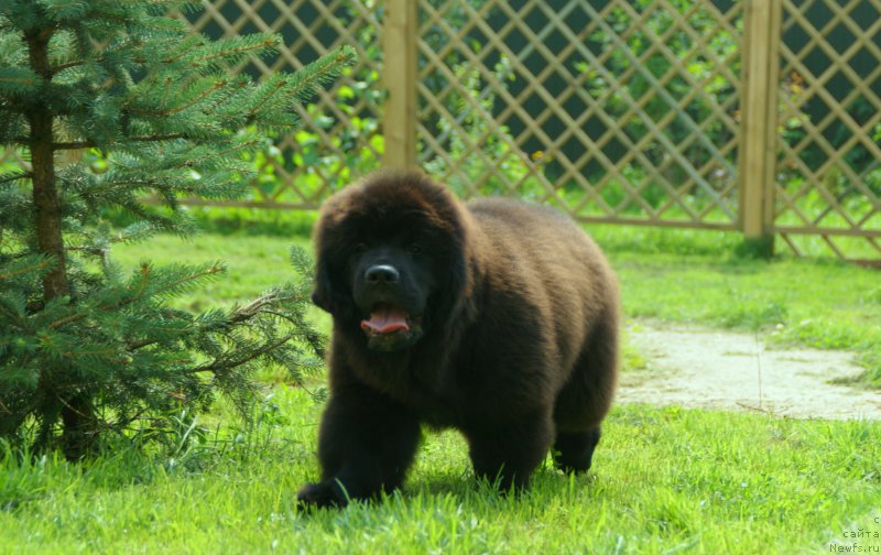 Фотография № 210879