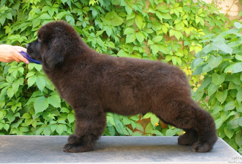 Фотография № 210881